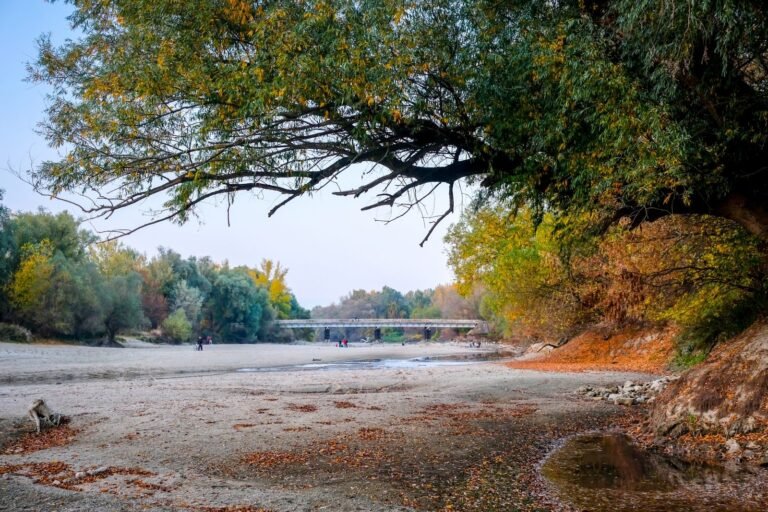 Brücke über den Donauarm