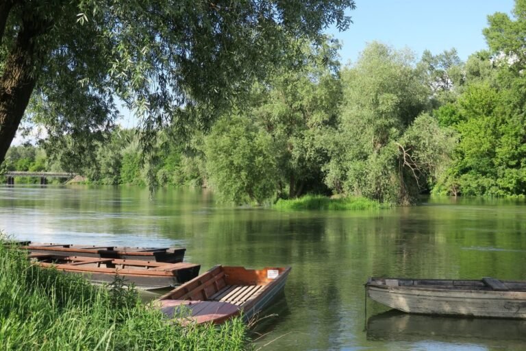 Donaukähne
